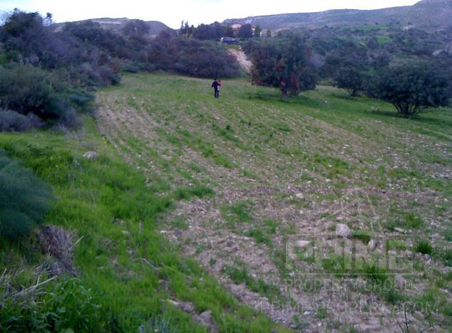 Ziemia na sprzedaż w Agios Theodoros