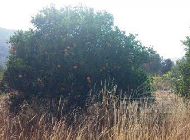 Ziemia na sprzedaż w Agios Theodoros