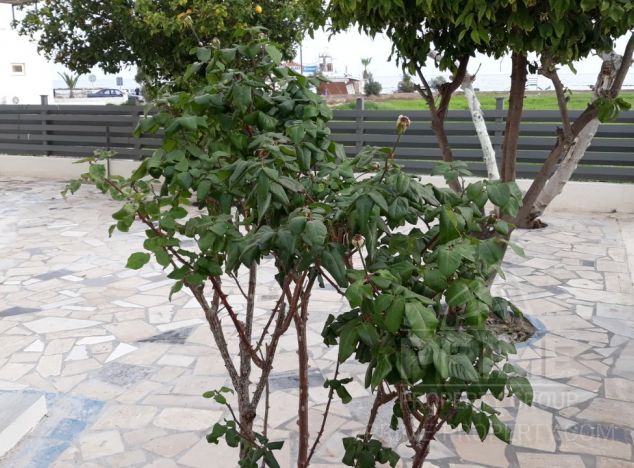 Apartament w rejonie Larnaca (Dhekelia) na sprzedaż