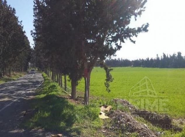 Ziemia na sprzedaż w Meneou