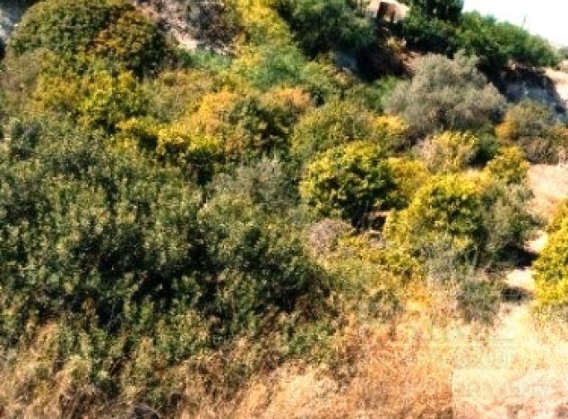 Ziemia na sprzedaż w Skarinou