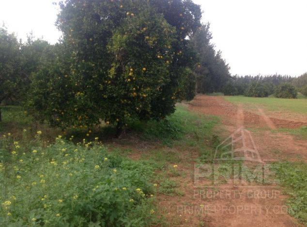 Ziemia na sprzedaż w Fassouri