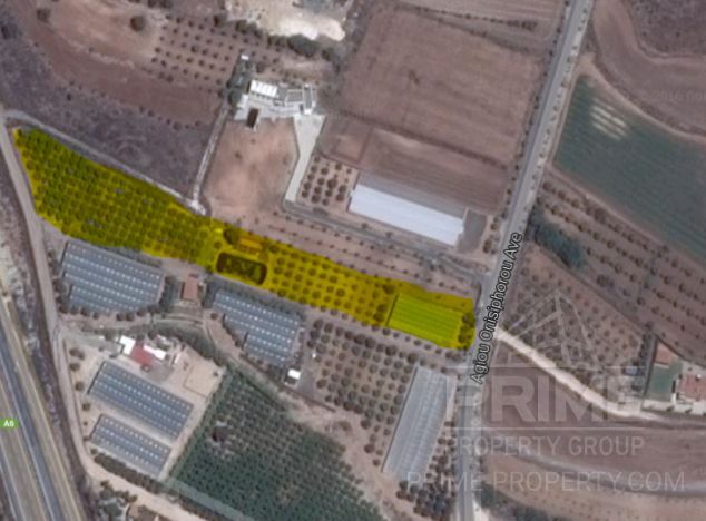 Ziemia w rejonie Paphos (Anarita) na sprzedaż