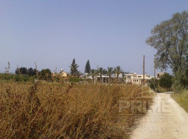 Ziemia w rejonie Paphos (Chloraka) na sprzedaż