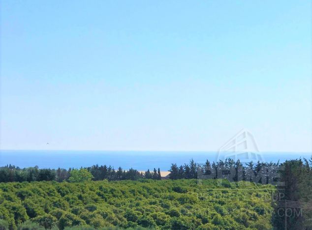 Willa w rejonie Paphos (Emba) na sprzedaż