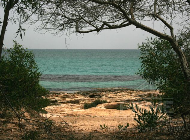 Ziemia w rejonie Paphos (Kato Paphos) na sprzedaż