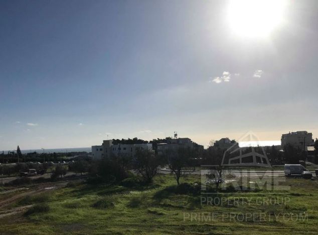 Ziemia w rejonie Paphos (Koloni) na sprzedaż