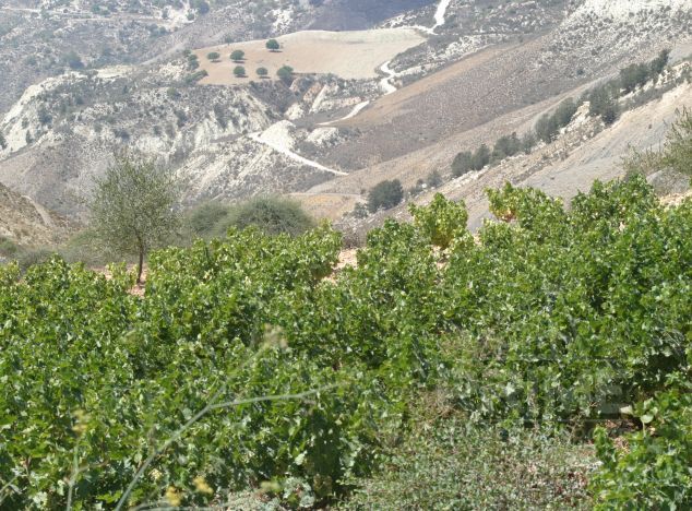 Willa w rejonie Paphos (Tala) na sprzedaż