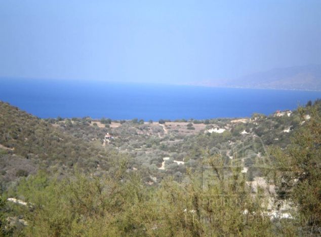 Ziemia w rejonie  (Neo Chorio) na sprzedaż