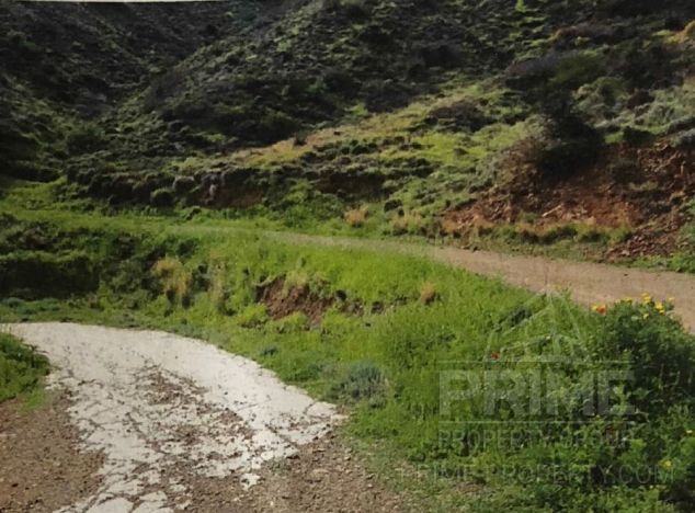 Ziemia na sprzedaż w Pomos