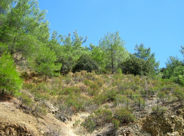 Ziemia w rejonie  (Pera Pedi) na sprzedaż