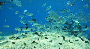 Woda na Cyprze - wyszukiwarka nieruchomości na Cyprze