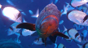 Plaża na Cyprze - nierruchomości na plaży na Cyprze