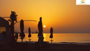 apartamenty i domy w larnace