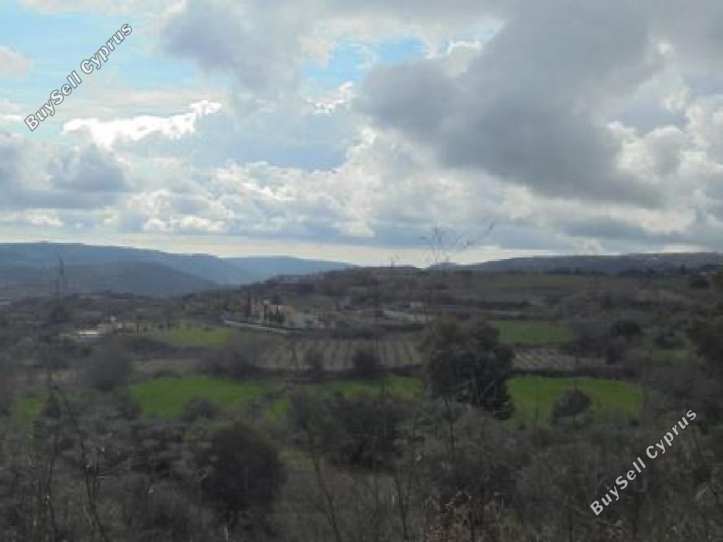 Ziemia w rejonie Paphos (873980) na sprzedaż