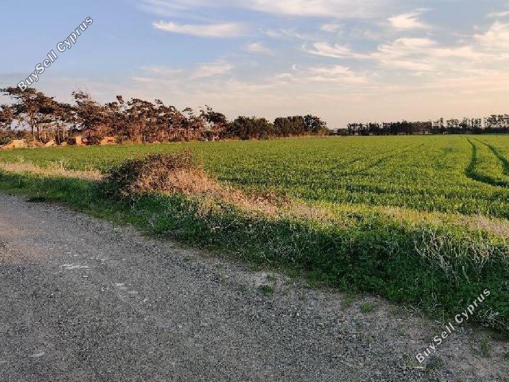 Ziemia na sprzedaż w 877423