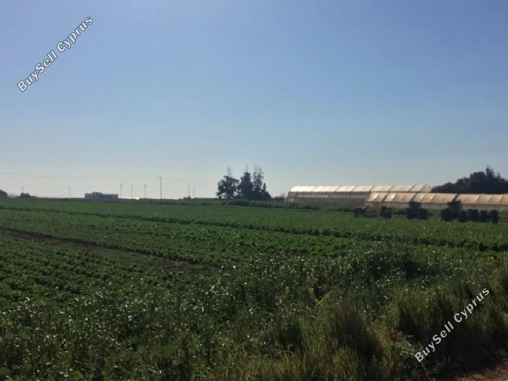 Ziemia na sprzedaż w 892860