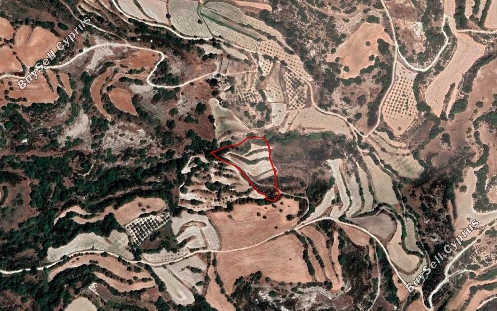 Ziemia w rejonie Paphos (894456) na sprzedaż