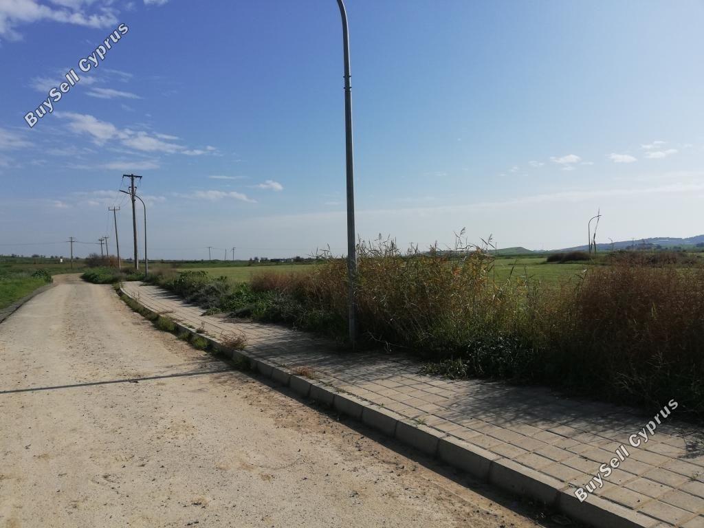 Ziemia na sprzedaż w Dali