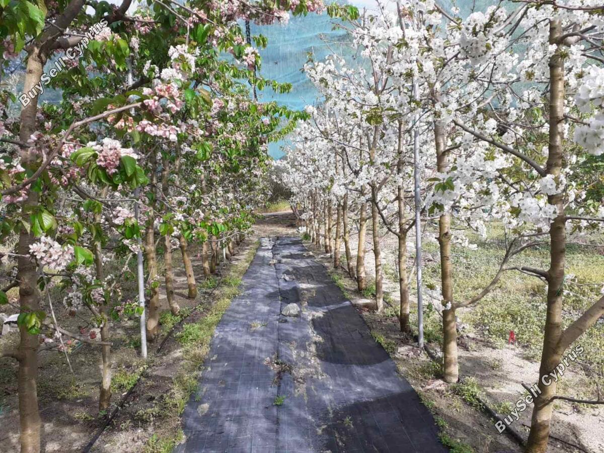 Ziemia na sprzedaż w Kellaki