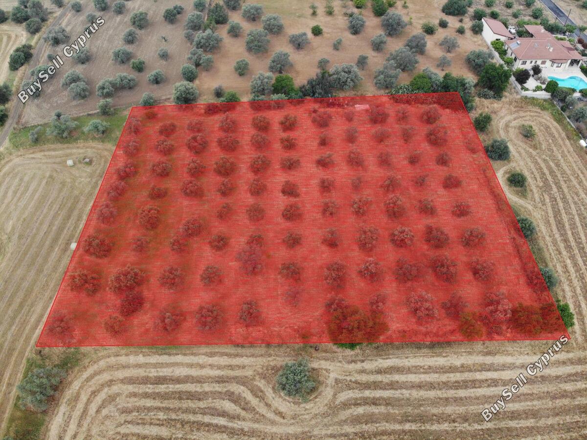 Ziemia na sprzedaż w Pyrga